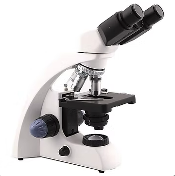 Captura de Tela 2025-10-07 às 16.21.38